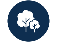 5 LAKH +  Trees Planted